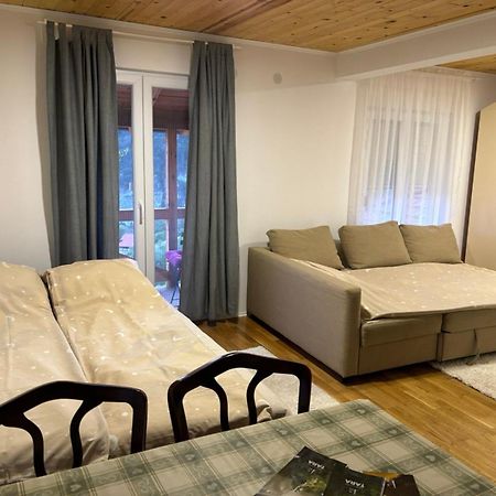 Ljubav Stara Zaovine Hotel Lazici Bagian luar foto